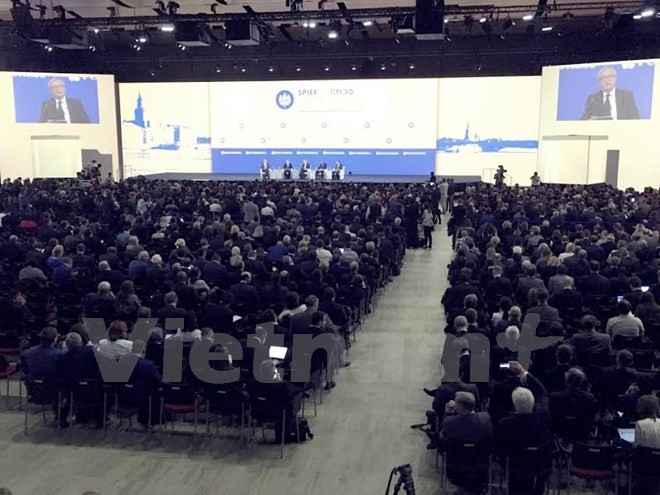 Eröffnung des Internationalen Wirtschaftsforums in Sankt Petersburg - ảnh 1